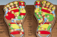 Reflexology