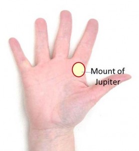 Mount of Jupiter on Palm