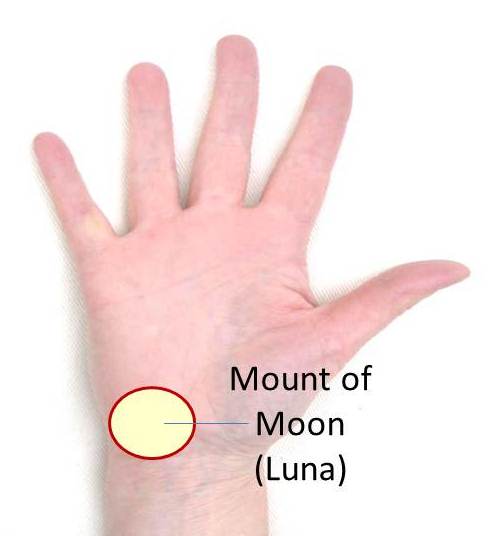 Mount of Moon on Palm