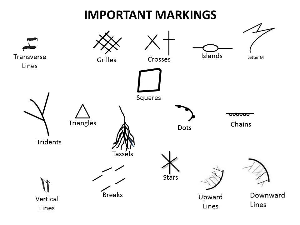 Palmistry Markings