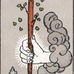 Ace of Wands
